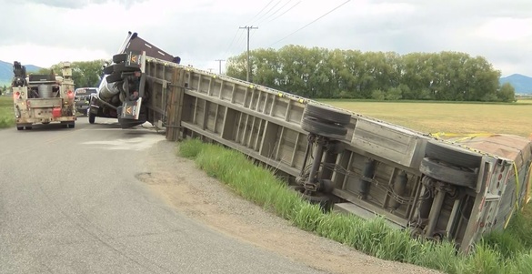 FOTO Un autocamion încărcat cu peste 130 de milioane de albine s-a răsturnat în Montana