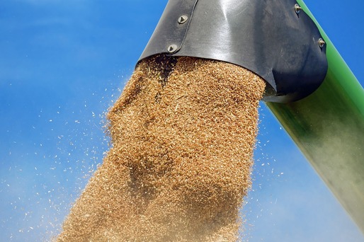 Anul acesta va fi a doua mare recoltă de grâu moale din istoria Franței