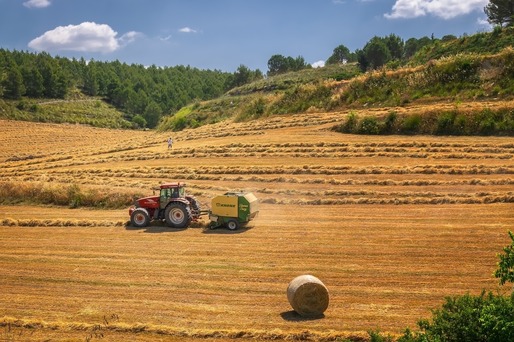 Malta și România - pe ultimele locuri în Uniunea Europeană la ponderea suprafețelor de teren alocate agriculturii organice