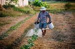 VIDEO AGRO TV - Fermierii cer forță de muncă din străinătate