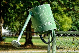 Ministrul Agriculturii: 1,4 milioane de hectare de culturi, afectate de secetă