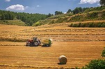 Danezii de la FirstFarms vând teren în vestul României