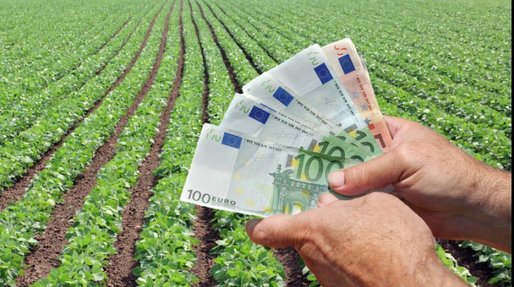 Ministerul Agriculturii anunță peste 135 milioane euro pentru fermieri