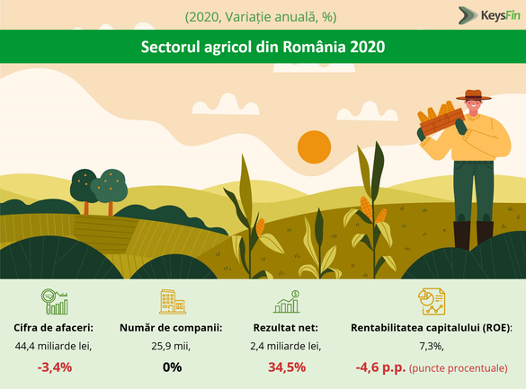 INFOGRAFICE 2021, an de revenire pentru agricultura românească. Până în apropierea sau chiar depășirea nivelului record atins în 2019