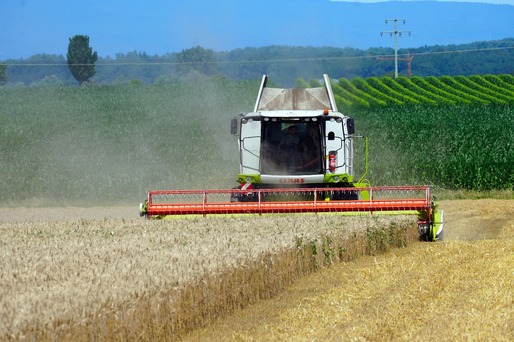 Deutsche Welle: Agricultura românească: exportăm grâu și importăm aluat congelat