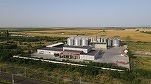 ROCA lansează al doilea holding, în agricultură: planuri de listare la bursă și 2 - 3 noi companii, până în decembrie 2023. Mâine - Dezbaterile Profit News TV - Maratonul Agriculturii