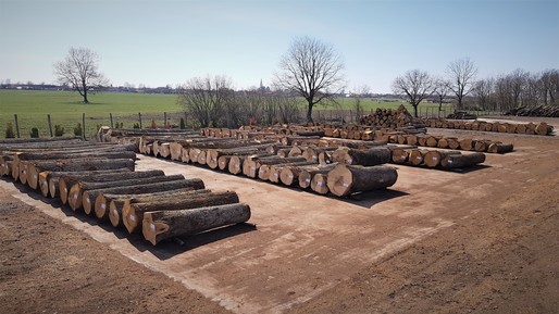Romsilva majorează volumul de lemn pus pe piață 
