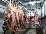 Israelul vrea să importe carne procesată din România în valoare de 50 milioane dolari anual