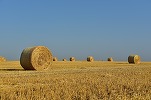  Agricover schimbă conducerea Agricover Distribution