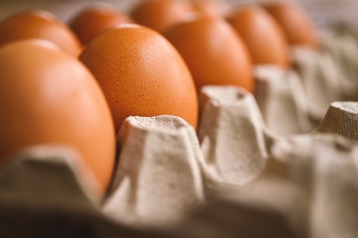 România, printre țările UE cu cele mai mici prețuri la ouă la poarta fermei. Cât costă în magazine