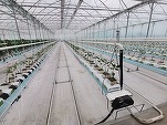 Furnizorul de legume Nu Oricum Serv are în plan să deschidă o fabrică și un nou depozit