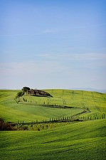 O treime din produsele agricole ”Made in Italy” sunt produse de muncitori străini. Cei mai mulți sunt români, 21% din totalul agricultorilor străini
