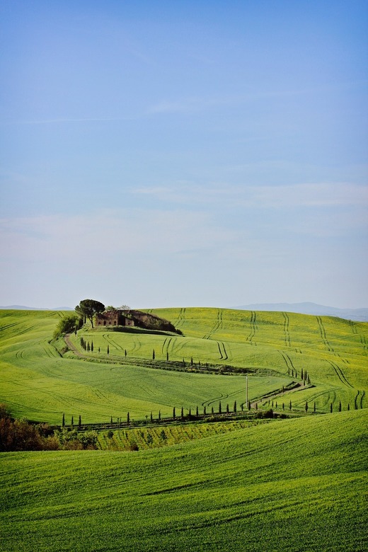 O treime din produsele agricole ”Made in Italy” sunt produse de muncitori străini. Cei mai mulți sunt români, 21% din totalul agricultorilor străini