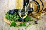 Exportul de vinuri a adus în Republica Moldova peste 111 milioane de dolari în 2023. România e cel mai mare cumpărător