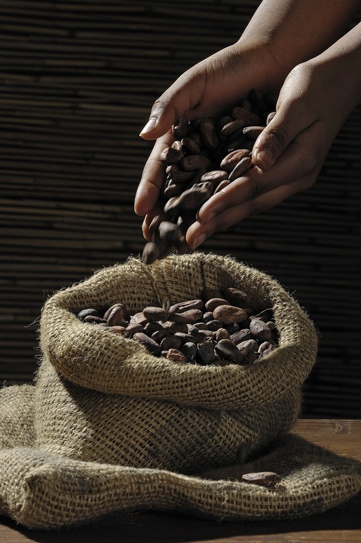 Prețurile la boabele de cacao au atins un nivel record al ultimilor 47 de ani