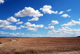 UE cedează în fața protestelor agricultorilor și-și restrânge obiectivele ecologice