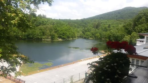 Algele din Lacul Ursu din Sovata, preconizate a fi hrana viitorului. Cercetători din Ungaria, Germania și SUA analizează plantele și apa sărată de aici