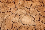 Un studiu avertizează că Australia se va confrunta cu mega-secete care vor dura zeci de ani