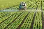Randamentele agricole mondiale vor scădea cu procente cuprinse între 11% și 24%, până în 2100