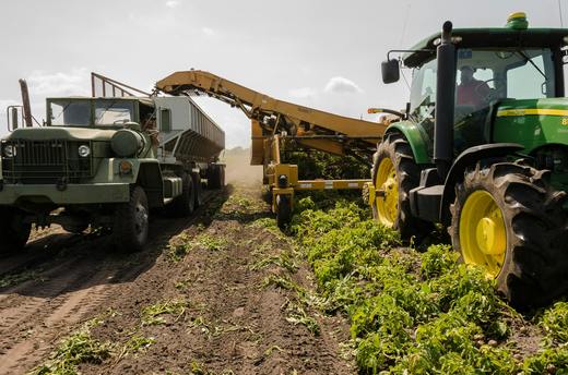 ANSVSA va cumpăra kituri de analiză a pesticidelor folosite în Mercosur, neutilizate în UE. Importurile sunt verificate acum prin alte mecanisme