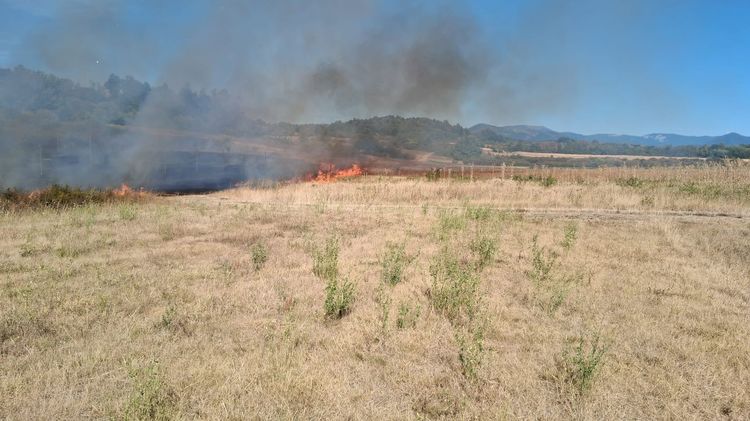 FOTO Zeci de hectare de pădure și vegetație uscată mistuite de flăcări
