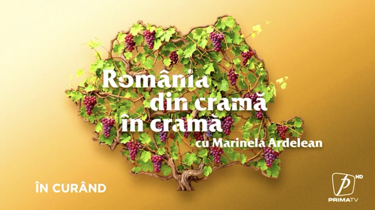 Rămâne de văzut dacă vizibilitatea televizată se traduce, în timp, în cifre de export, dar recunoașterea nevoii, la nivelul industriei, e ea însăși un semnal. Exportul de vin românesc în 10 ani: valoarea crește, volumul stă pe loc