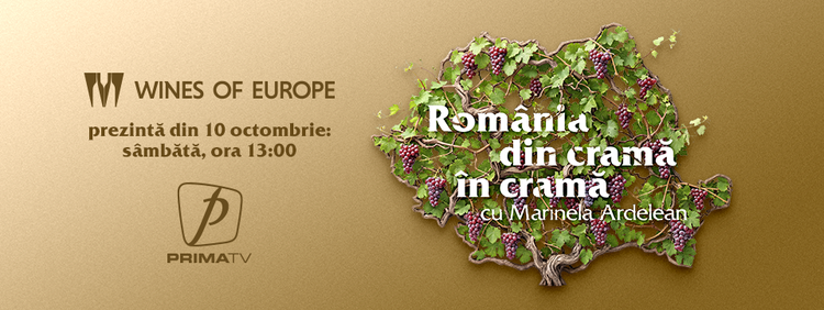 Cât costă să construiești o cramă nouă?