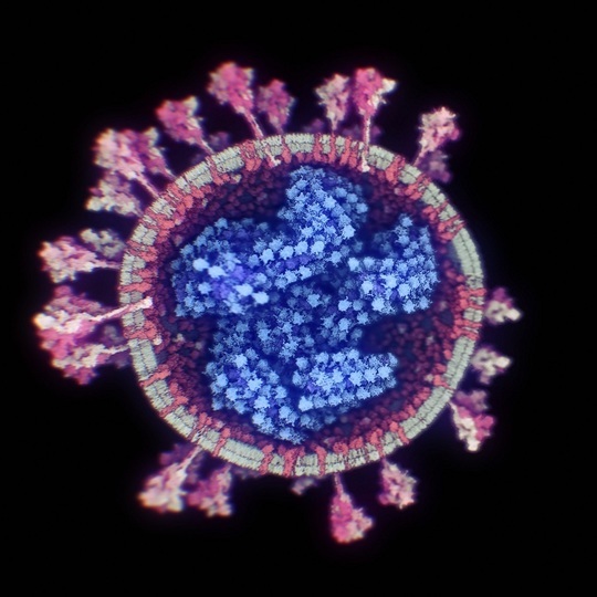 FOTO Cercetătorii au reușit să facă prima fotografie 3D a coronavirusului
