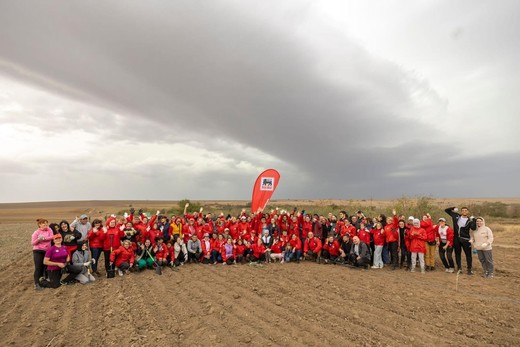 Mega Image plantează o pădure nouă, de 12.000 de copaci, unul pentru fiecare angajat