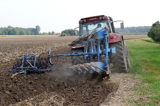 ULTIMA ORĂ Amenzi pentru fixarea prețului în agricultură. Agricover a aplicat la programul de clemență și a beneficiat de imunitate. 15 din 21 de companii au recunoscut încălcarea legii