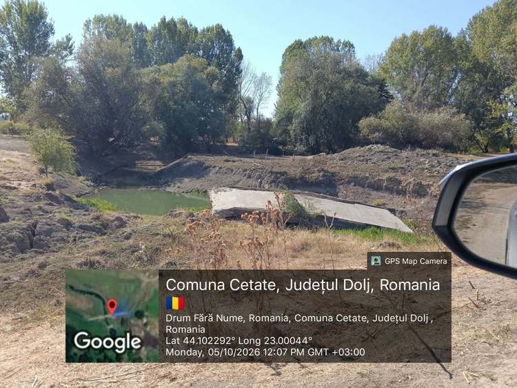 FOTO Gigi Nețoiu, amendat pentru ferma de vite Black Angus