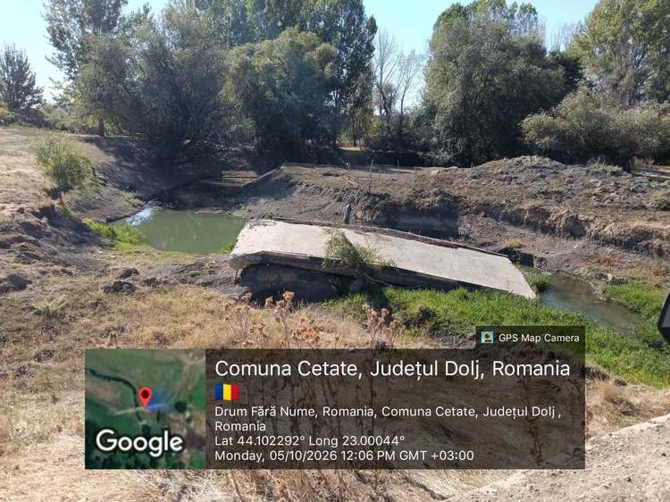 FOTO Gigi Nețoiu, amendat pentru ferma de vite Black Angus