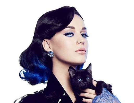 Katy Perry a devenit primul utilizator de Twitter care are 100 de milioane de fani