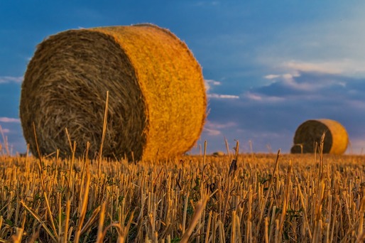 GRAFIC Agricultura românească poate înregistra, în acest an, cele mai bune rezultate din ultimul deceniu - studiu