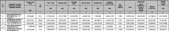 ANALIZĂ Datoriile companiilor la care ministerul energiei este principal acționar către buget: ELCEN și CE Hunedoara conduc detașat