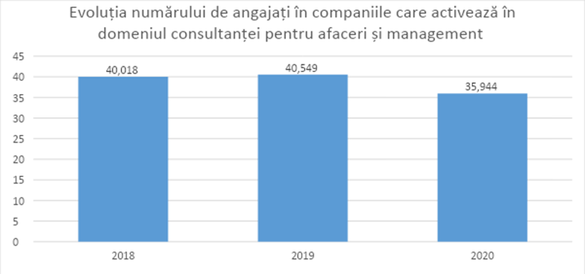 INFOGRAFICE Piața românească de consultanță este mai profitabilă în pandemie. S.O.S: Cresc datoriile!