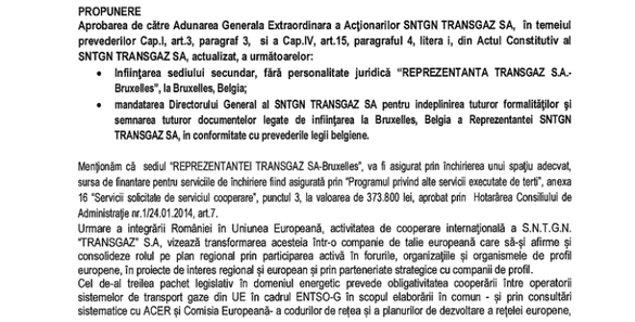 EXCLUSIV Ramona Mănescu, șefă a reprezentanței Transgaz de la Bruxelles. Ea spune că a fost suspendată din funcție când a devenit ministru de Externe