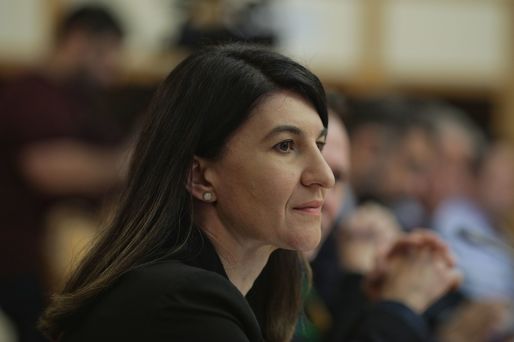 Violeta Alexandru, propusă la Ministerul Muncii, al treilea ministru cu aviz negativ în comisiile parlamentare
