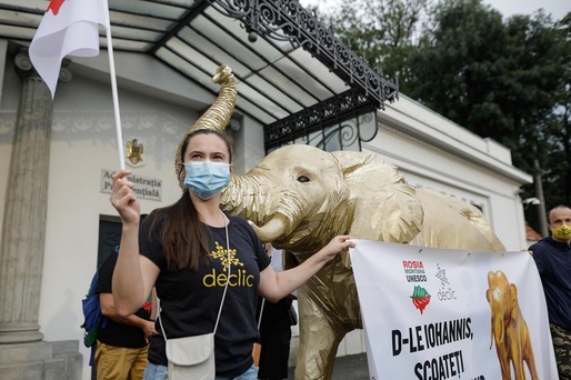 FOTO Protest la Palatul Cotroceni pentru Roșia Montană. Un elefant, plimbat în zonă