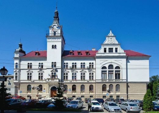 Președinte CJ Suceava spune că ia în calcul să reducă numărul de bugetari: Foarte, foarte mulți angajați plimbă hârtii