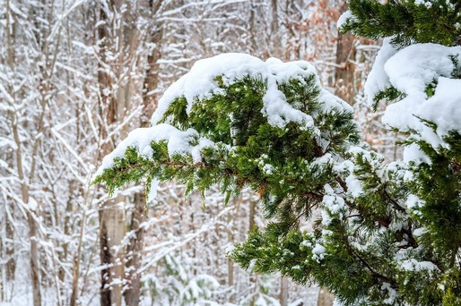 Meteorologii estimează că iarna se instalează după 2 decembrie