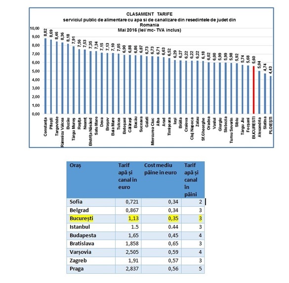 FOTO cANALIZArea Bucureștiului: În așteptarea unei investiții de 1 miliard de euro din partea statului, rețeaua de canalizare găzduiește murături, porci și vaci