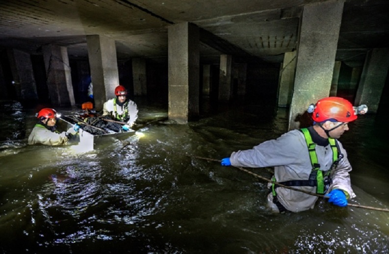 FOTO cANALIZArea Bucureștiului: În așteptarea unei investiții de 1 miliard de euro din partea statului, rețeaua de canalizare găzduiește murături, porci și vaci