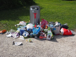 Guvernul a suspendat, până la 1 ianuarie 2019, taxarea la groapă a deșeurilor, un ONG avertizează că România va intra în infringement