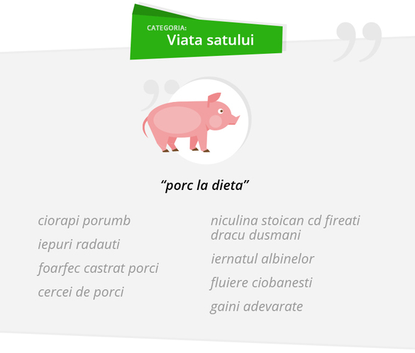 Numărul căutărilor pe eMAG a crescut în acest an, cu 65%. FOTO Exemple de căutări: naic, elgi, smartvaci, hensfri