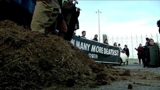Ecologiștii au aruncat bălegar la summitul ONU pentru climă de la Madrid, protestând față de lipsa de măsuri împotriva încălzirii globale