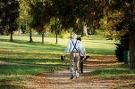 Singurul județ din România unde speranța de viață depășește 80 de ani