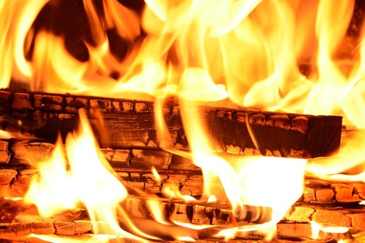 România va plafona prețul lemnului utilizat pentru încălzire și va opri temporar exportul