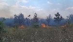 VIDEO Incendiu de vegetație uscată, în nordul Capitalei, pe 30 de hectare