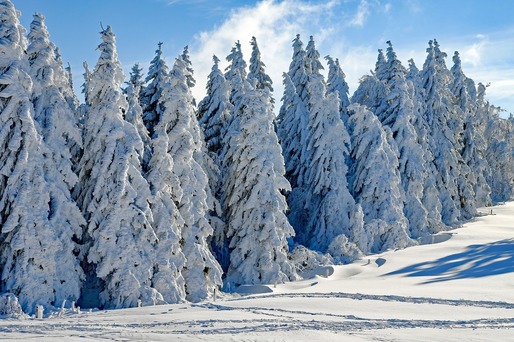 Un val de ninsori pune stăpânire pe România. Zonele în care se anunță viscol
